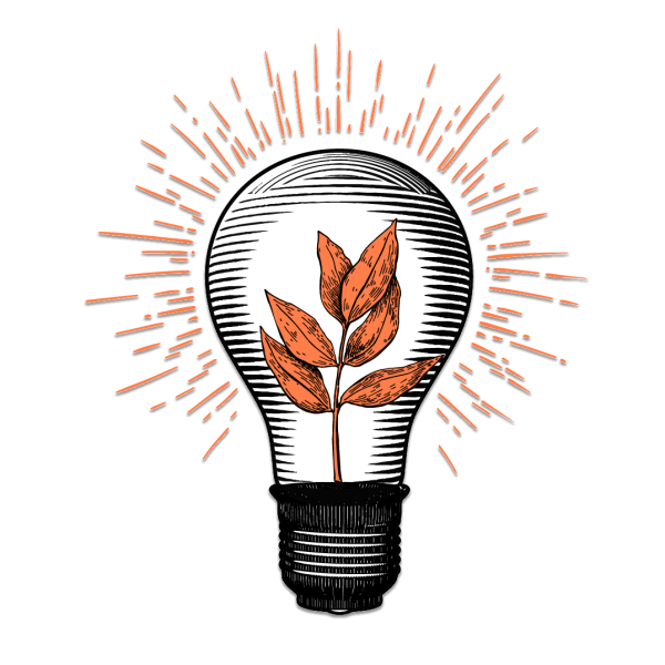 SUSTAINIBILITY